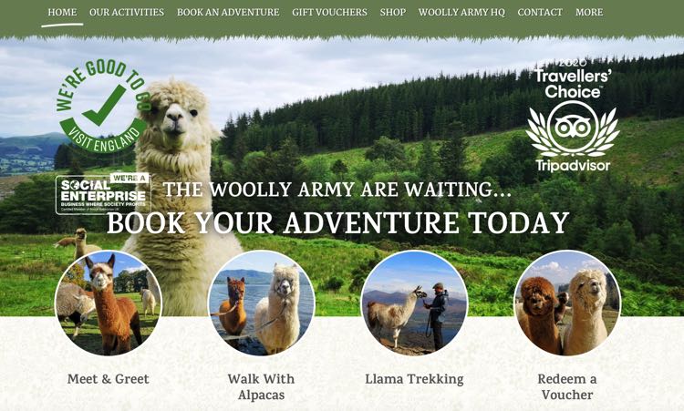 Walk with Alpacas in the Lake District