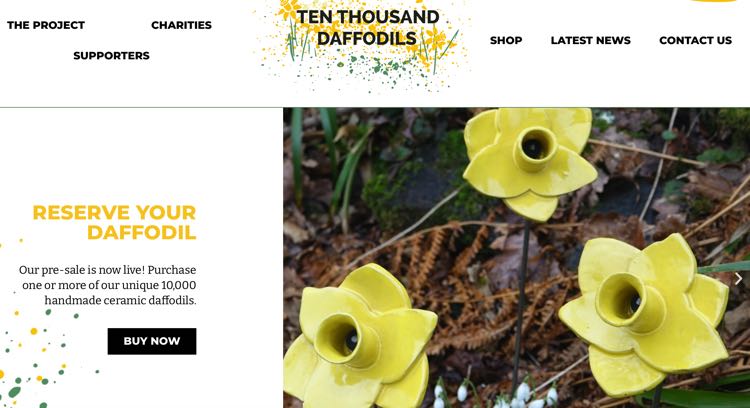 Ten Thousand Daffodils May
