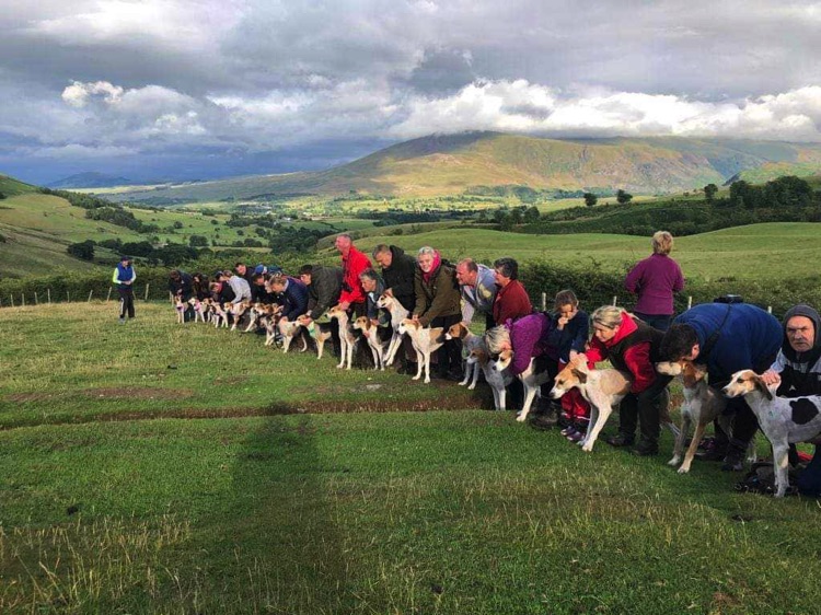 loweswater show