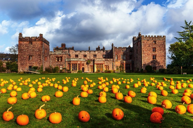 muncaster halloween