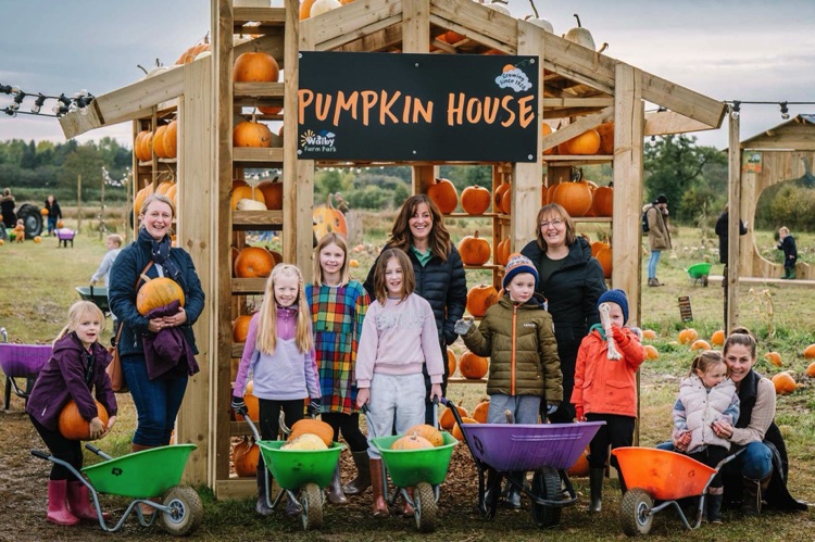 pumpking picking walby farm park