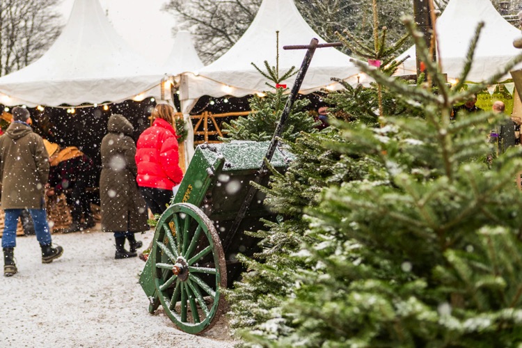 yew barn christmas