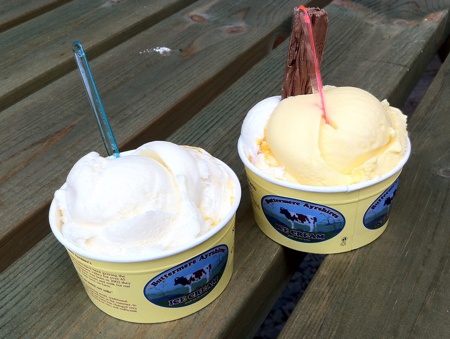 Buttermere Ayreshires Ice Cream