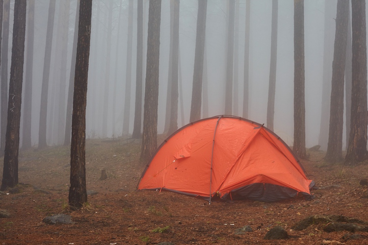 Orange tent in misty forest