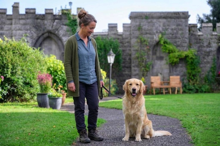 lonsdale house pet friendly
