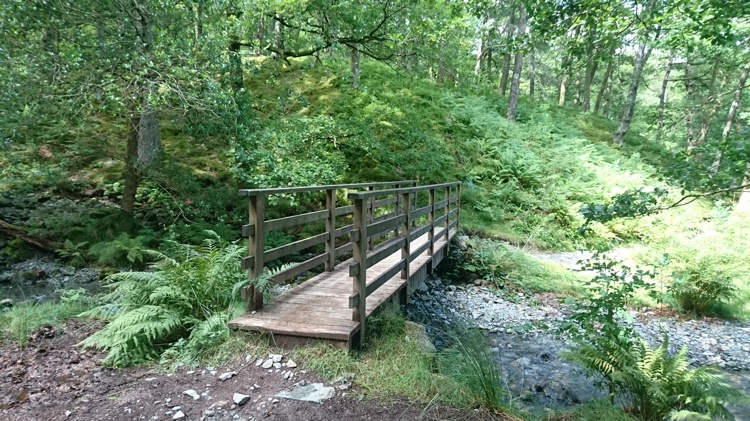 The Footbridge Over the River