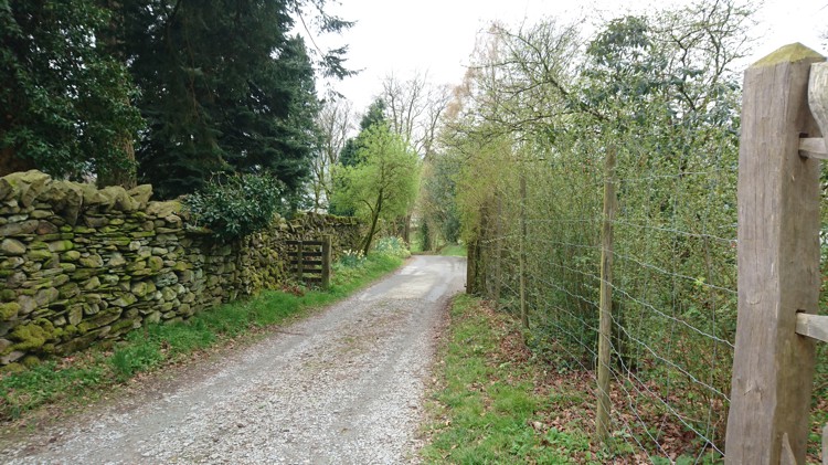 The Lane Leading out of the Car Park