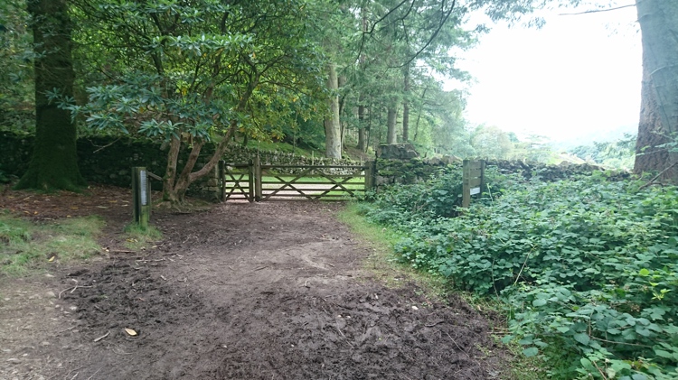 The Gate onto the Track