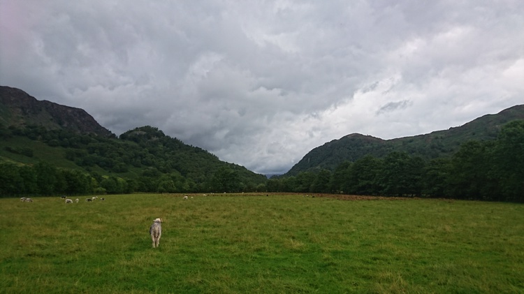 Looking Toward the “Jaws of Borrowdale” from the Path