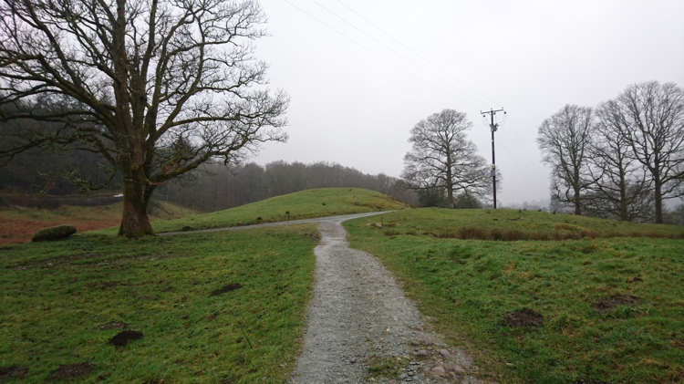 Path Leading to the Farm Track