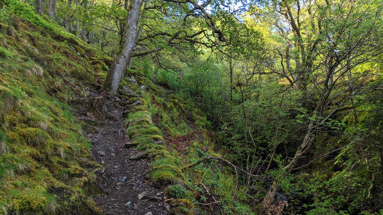 A Section of the Path with a Steep Drop to the Side