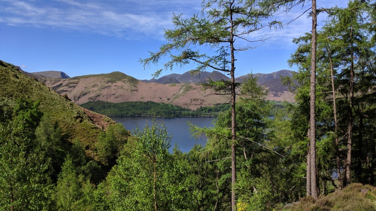Derwent Water Visible Through the Trees