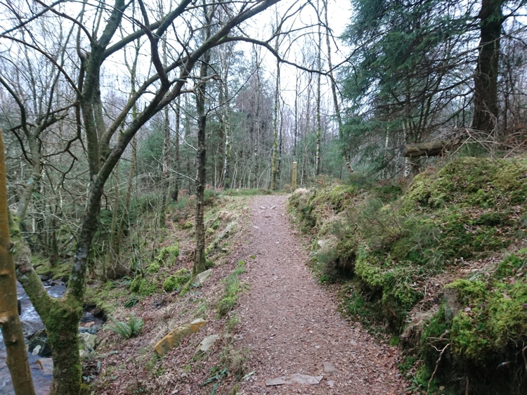 The Path Leading from the Waterfall