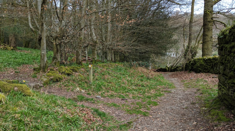 The Turning into Newclose Wood