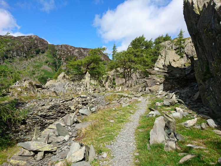 Path Leading off to the Quarry