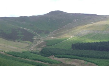 Lord's Seat seen from Darling How plantation